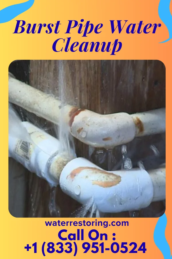 Burst Pipe Water Cleanup in Flowery Branch, GA