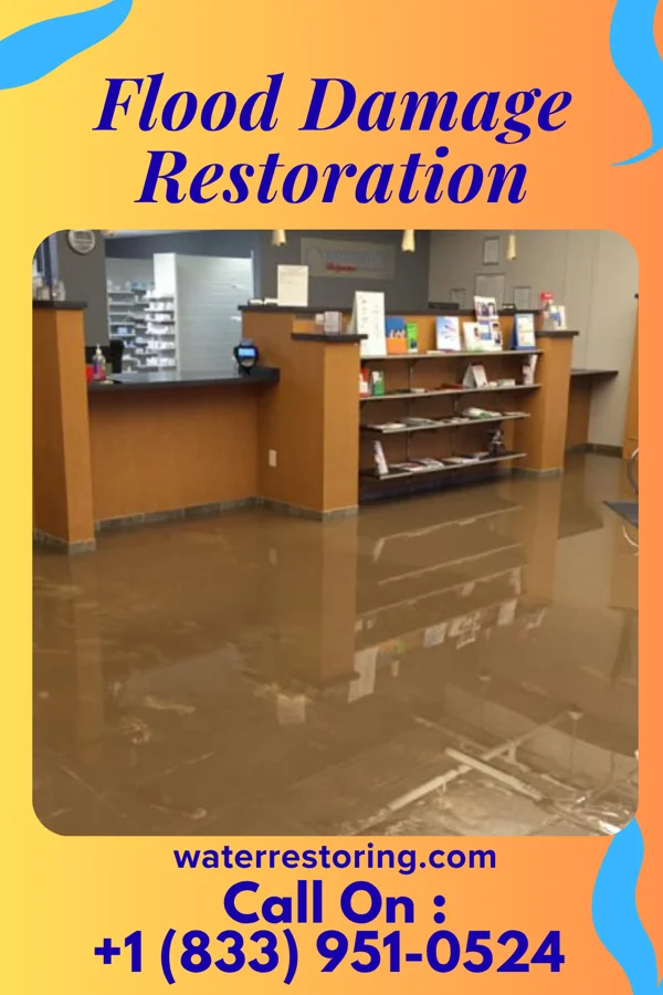 Flood Damage Restoration in Flowery Branch, GA