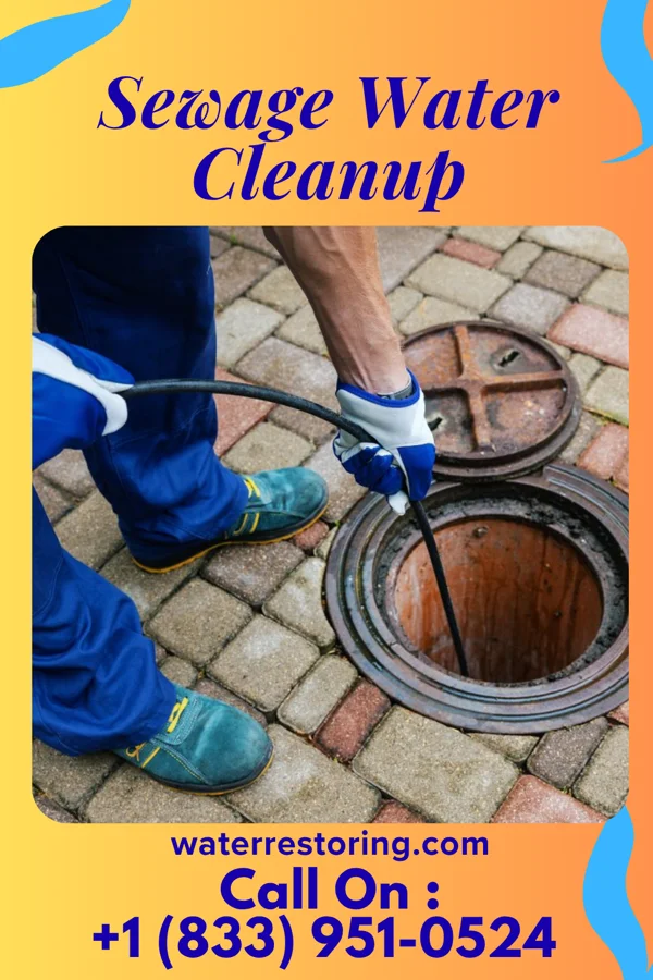 Sewage Water Cleanup in Flowery Branch, GA