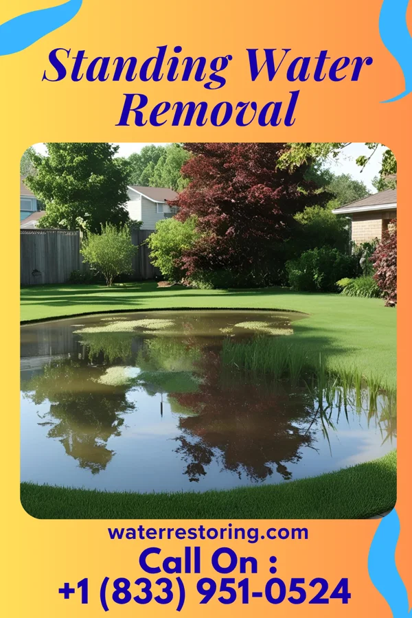 Standing Water Removal in Flowery Branch, GA